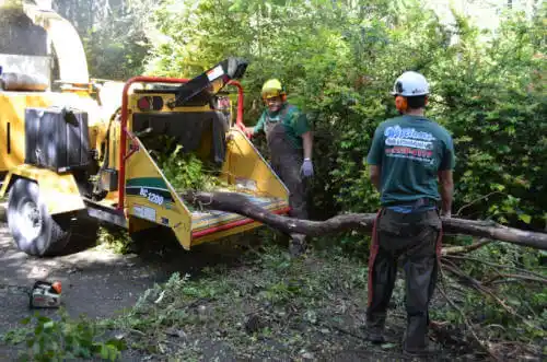 tree services Arroyo Grande